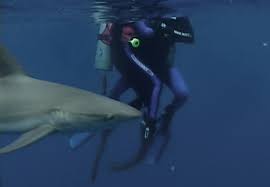 Told from the second person narrative we are taken through the photographer and dancer intense first meeting, to them being friends, best friends and inevitably lovers. Open Water 2003 Imdb