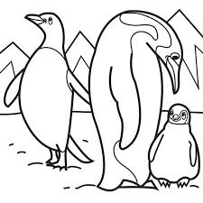 Check out our alphabet and easter pictures! Emperor Penguin Coloring Pages Coloring Home
