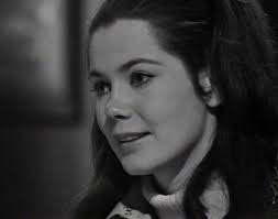 Remembering the TV Show Dark Shadows