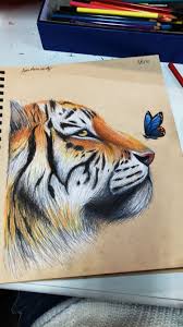 My expertise is in black white caricatures or color caricatures using prismacolor art stix or airbrush. Tiger Butterfly Pencil Drawings Of Animals Prismacolor Art Realistic Art