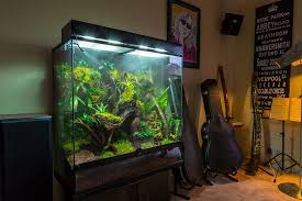 Rainforest Vivarium Vivarium Aquascape Aquarium Crested Gecko Habitat