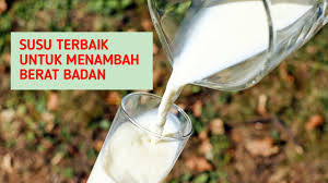 Dancow fortigro enriched full cream (susu full cream untuk menambah berat badan). Merek Susu Menggemukkan Badan Yang Bagus Dan Terbaik Infoopas Com