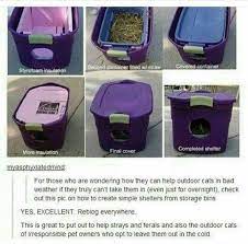 I Have Multiple Strays In My Backyard And I Can Verify This Works As We My Fam Do Es This Feral Cat Shelter Cat Shelter Feral Cats