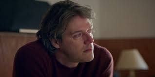 What Happened in Anatomy of a Fall?