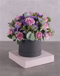 We did not find results for: In A Box Flowers Netflorist