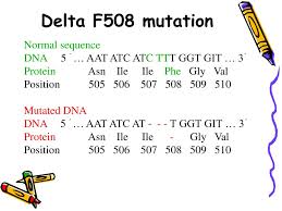 Image result for Delta F508