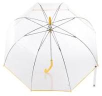 Clear Bubble Umbrella with Colorful Accents