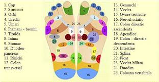 Exista 5 puncte liniar pe cord dinspre stern spre axila si cate 3 puncte de sus in jos, deasupra cordului in directia celor 5 puncte. Reflexologia Este La Fel De Eficienta In Reducerea Durerii Ca Unele Medicamente Viataverdeviu Ro