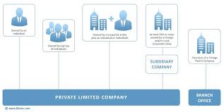 Singapore Company Incorporation Singapore Business Business Infographic Corporate Entity