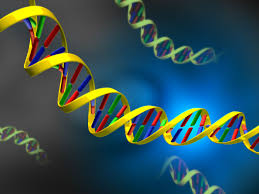 The Scientific Definition Of Life Definition Of Life Science Nerd Definitions