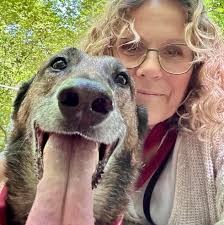 While I doubt that Trump has any interest in obscure (but important) rules  surrounding media ownership and distribution further than his interest in  punishing Hollywood's most powerful companies this would be a