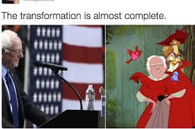 A Bird Flew Into A Bernie Sanders Event And The Crowd Went Wild