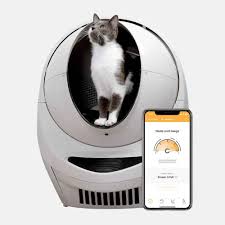 7 Best Automatic Litter Box For Self Cleaning 2021 Update