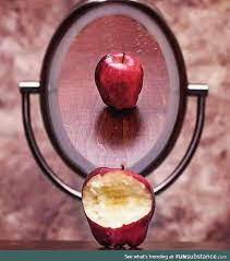 Images that represent social media. Life On Social Media Social Media Apple Conceptual Photography