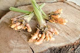 Image result for Turmeric