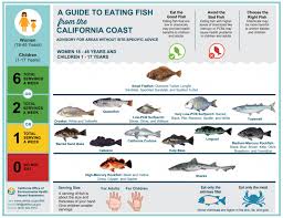 14 Unbiased Safe Fish To Eat Chart