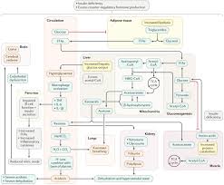 People still die from diabetic ketoacidosis. Diabetic Ketoacidosis Nature Reviews Disease Primers