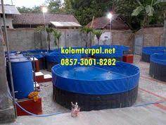 Maybe you would like to learn more about one of these? 36 Jual Kolam Terpal Ideas Fish Farming Tilapia Fish Farming Aquaculture Fish