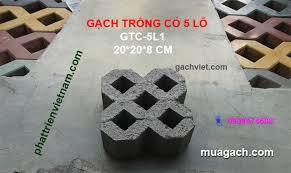 Gạch trồng cỏ 5L1 - Gạch Việt, Gach Viet, Vietnamese Tiles | gachviet.com