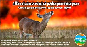 İddia edildiği şekilde orman yangınlarına müdahalede hava gücümüz yetersiz olduğu doğru değildir. Alo Orman Yangini 177 Numarasi Konya Hayvan Severler Facebook