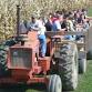 U-Pick Pumpkins and Hayrides event image