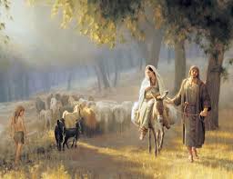 The kiplinger washington editors, inc., is part of the dennis publishing ltd. Novena De Navidad Vive 2020 Revista Vive