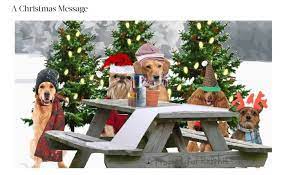 8 Best Electronic Christmas Card Websites Electronic Christmas Card Christmas Card Websites Christmas Cards
