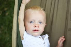 Amy Mollak Photography