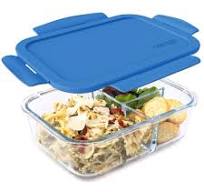 Bentgo Glass Lunch Container