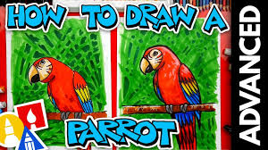 Birds Archives Art For Kids Hub Please pause the how to draw a budgie (parakeet) video after each step to draw at your own pace. birds archives art for kids hub
