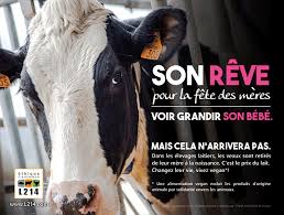 Non, la plupart du temps, le lait aromatisé est un produit industriel et donc vous pouvez légitimement douter de sa pertinence en terme de valeur nutritive. 17 Raisons D Arreter Les Produits Laitiers Vegan Freestyle