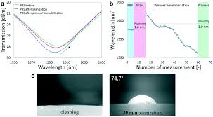 Convert between the units (eur → ron) or see the conversion table. Real Time Isothermal Dna Amplification Monitoring In Picoliter Volumes Using An Optical Fiber Sensor Lab On A Chip Rsc Publishing Doi 10 1039 D0lc01069c