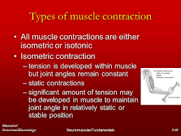 Chapter 2 Neuromuscular Fundamentals Ppt Download