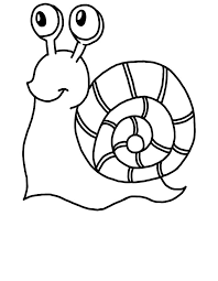 Desenhos De Caracol Para Colorir