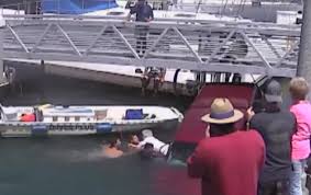 Good Samaritans Restored Faith In Humanity By Rescuing Drowning Elders And Their  Pet Chihuahua 👏 Video in the comments 👇
