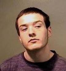 Man, 18, charged in Ionia County arson, vehicle thefts