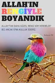 allahinemirleri kuranikerim kuranayetleri resimliayetler islam islamicquotes corekotuyagi allah tan daha guzel rengi kim verebilir