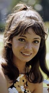 Sherry Runk's Instagram, Twitter & Facebook