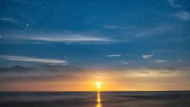 Evening Beach, Dune and Maritime Forest Excursion