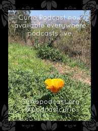 Sometimes Funny Oftentimes Serious A Podcast By Women Who Overthink Everything With Images Plants Podcasts Garden