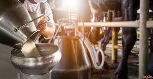 تفسير حلم طبخ الارز في المنام للعزباء. Ø§Ù„Ø­Ù„ÙŠØ¨ ÙÙŠ Ø§Ù„Ù…Ù†Ø§Ù… ÙˆØªÙØ³ÙŠØ± Ø±Ø¤ÙŠØ© Ø§Ù„Ù„Ø¨Ù† Ø¨Ø§Ù„ØªÙØµÙŠÙ„