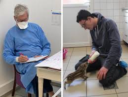 Mc58 1273 9000 7300 4027 8000 189 Un Veterinaire De Deauville Lance Une Cagnotte Leetchi Pour Aider Le Centre De Soins De La Dame Blanche Le Pays D Auge
