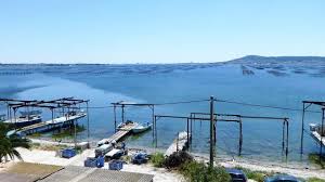 Etang De Thau Picture Of Les Demoiselles Dupuy Bouzigues Tripadvisor