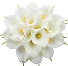 Maybe you would like to learn more about one of these? Starlifey Calla Lilies Bridal Wedding Bouquet Head Lataex Real Touch Silk Flower Bouquets Pack Of 20 Thanksgiving Day Gift White Buy Online In Antigua And Barbuda At Antigua Desertcart Com Productid 92612169