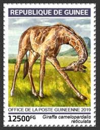 Issued 2019 Giraffe Giraffa Camelopardis Reticulata In 2020 Postal Stamps Stamp Design African Animals