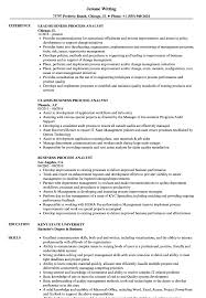 Business Process Analyst Resume Samples Velvet Jobs