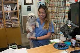 Top keywords % of search traffic. 9 Best Of The Best Vets In San Francisco Fauna Care