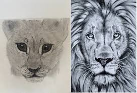 White eagle eyeing a mountain lion drawing. Age 12 Vs 16 Lion Drawing Progress Nextfuckinglevel
