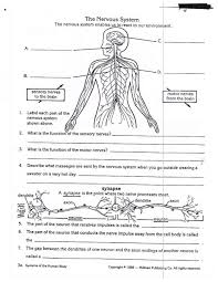 10 5th Grade Biology Worksheets Biology Worksheet Free Science Worksheets Science Worksheets