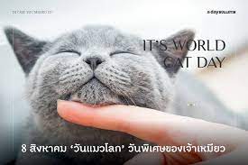 To celebrate international cat day, we've found some weird and wacky cats from all over the world. A Day Bulletin It S World Cat Day 8 à¸ª à¸‡à¸«à¸²à¸„à¸¡ à¸§ à¸™à¹à¸¡à¸§à¹‚à¸¥à¸ Facebook